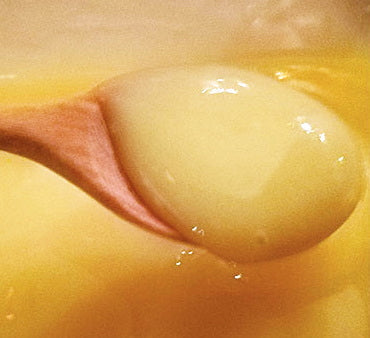 純生ロイヤルゼリー 500g Pure Fresh Royal jelly 500g