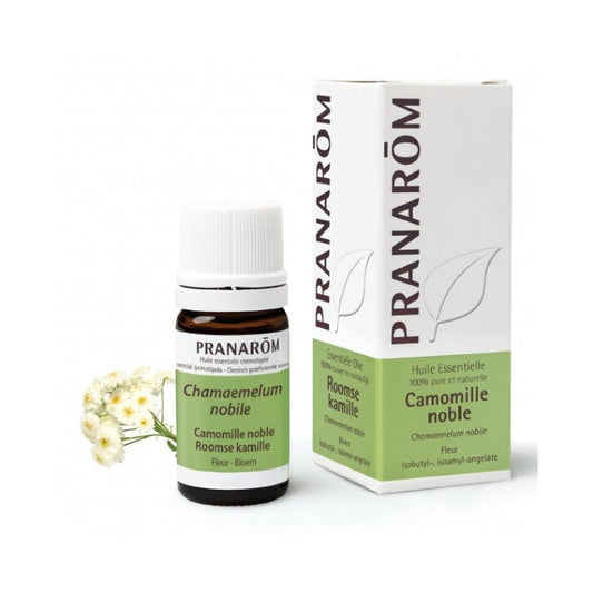 プラナロム 　カモマイル ローマン BIO 5ml PRANAROM HUILE ESSENTIELLE CAMOMILLE NOBLE (CHAMAEMELUM NOBILE)