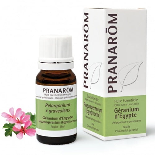 プラナロム　ゼラニウム・エジプト 10ml PRANAROM GERANIUM D'EGYPTE
