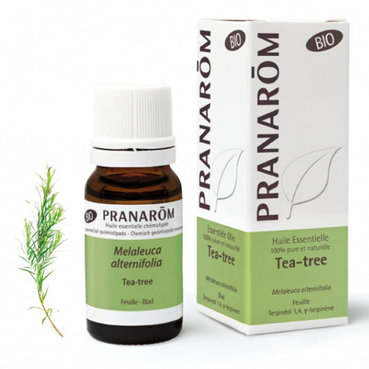 プラナロム ティートゥリー  PRANAROM  Tea-Tree (Melaleuca alternifolia) 10ml
