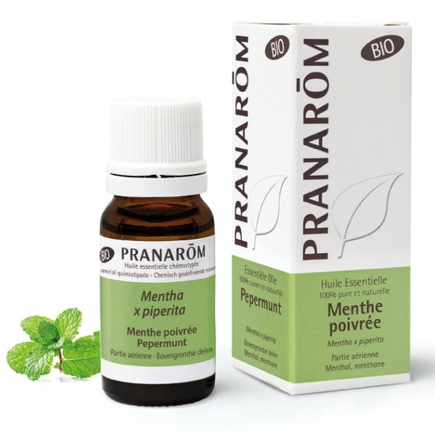 プラナロム　ペパーミント 10ml PRANAROM MENTHE POIVREE