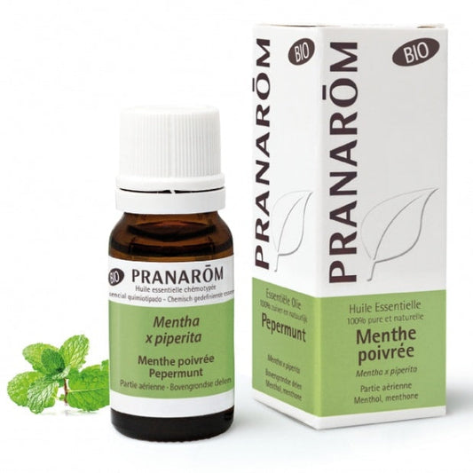 プラナロム　ペパーミント 10ml PRANAROM MENTHE POIVREE