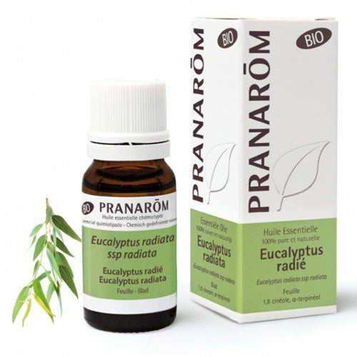 プラナロム　ユーカリ ラディアタ 10ml  PRANAROM HUILE ESSENTIELLE EUCALYPTUS RADIATA